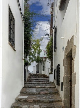 a narrow alleyway with stone steps leading up to a building